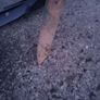 Bulldog insulated crowbar Image 3