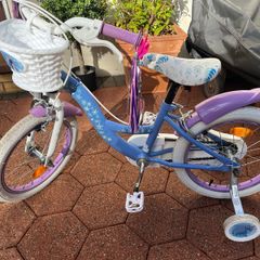 Frozen bike