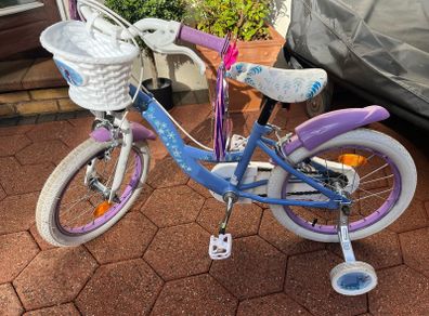 Frozen bike