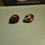 Tagua nuts Image 4