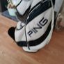 ping golf bag Image 9