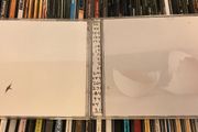 that Wilco Selection