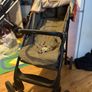 Buggy/Stroller Image 3