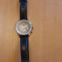 Citizen eco-drive wr100
