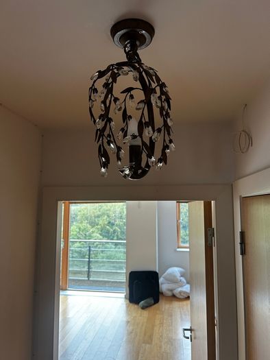 2 Hanging Ceiling Lights
