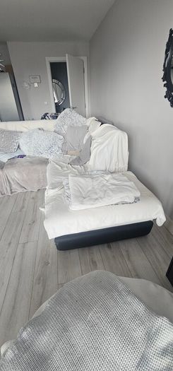 Lshaped couch sofabed