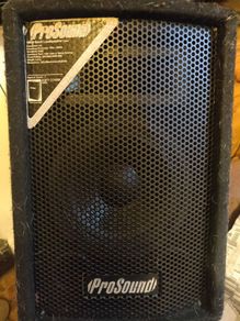 speaker pro sound 100w.