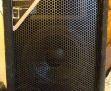 speaker pro sound 100w.