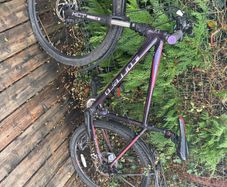 ladies mountain bike