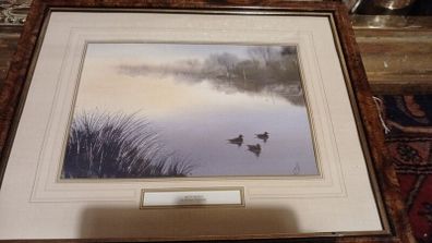 stunning prints -