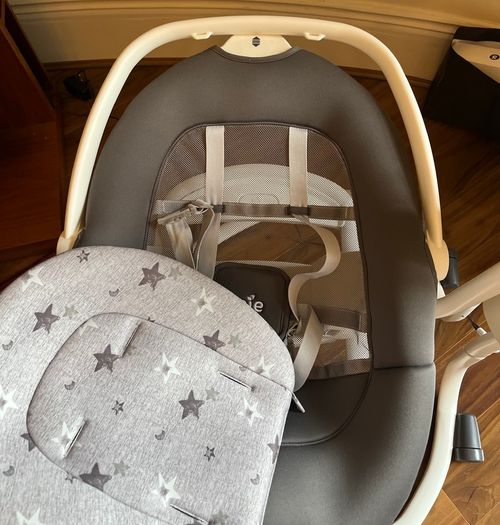Joie Serina 2 in 1 Swing and Rocker