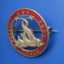 OLD DOLPHINS ASSOCIATION (ODA) - a vintage ex-pupils association alumni silver badge (hallmarked for 1929) Image 2