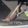 Tow Bar Image 5