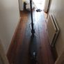 Xiaomi  Electric Scooter pro 2 ask for details or see advert Image 5