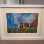 Ballyannan, Midleton Image 9