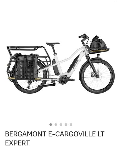 Electric Bike