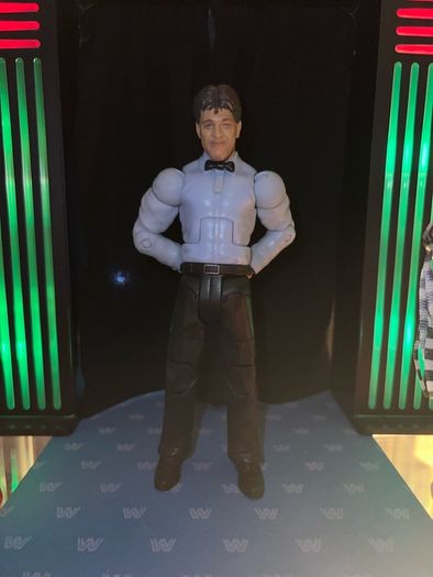 WWE Elites, Ultimates and Playsets Assortments