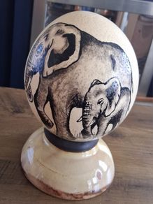 Ostrich Egg