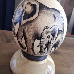 Ostrich Egg