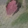 Dolores Keaveney Watercolour Image 5