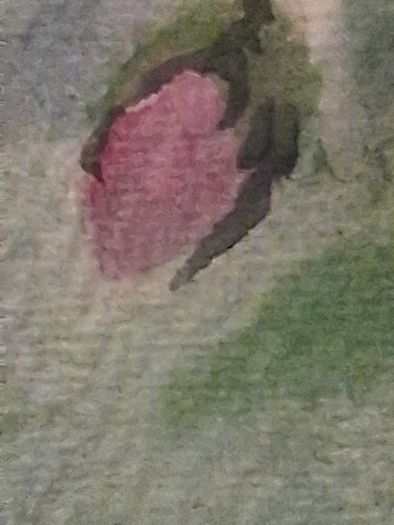 Dolores Keaveney Watercolour
