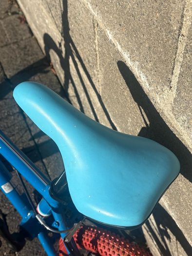 Raleigh Pop 16 Kids Bike in Blue