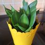 Small Sansevieria Hahnii in Yellow Pot Image 4
