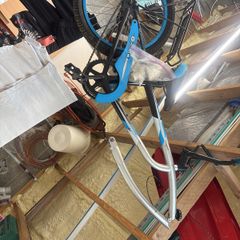 Kids ride along bike