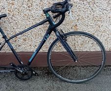 Giant Racer Frame