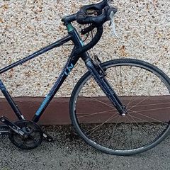 Giant Racer Frame