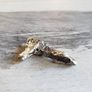 Meteorite Sikhote-Alin iron 9,45g refreshed Image 6