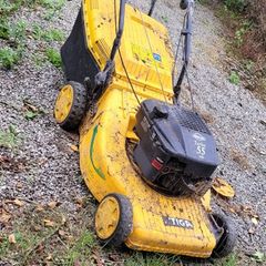 Free Lawnmower not working