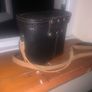 Vintage WWII Binoculars made in USSR Image 5