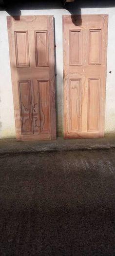 Pair of Mahogany  Doors