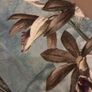 Napkins Image 3