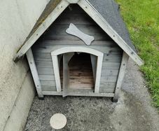 kennel