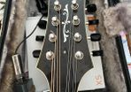 Mandolin
