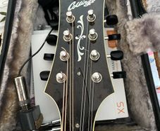 Mandolin