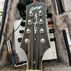 Mandolin