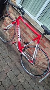 cougar road racing bike