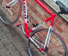 cougar road racing bike