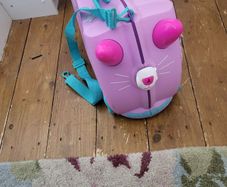 Trunki suitcase