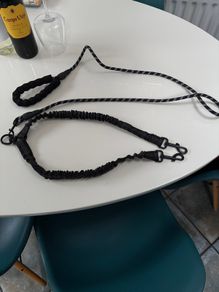 Double Dog Lead