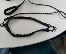 Double Dog Lead