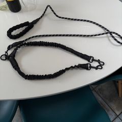 Double Dog Lead