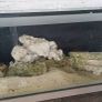 fish tank with stand Image 2