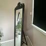 Full Length Standing Mirror Image 2