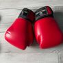 MMA kids gear, shorts, gloves shin guards Image 9
