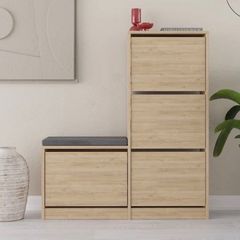 Shoe cabinet