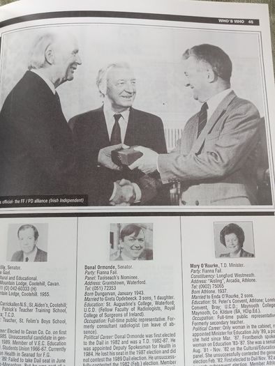 Who's who in Irish politics: The top 500